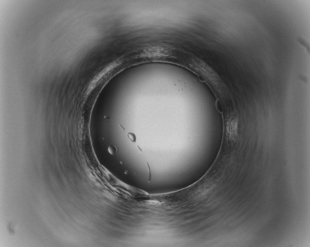 X0000102270724200808011427