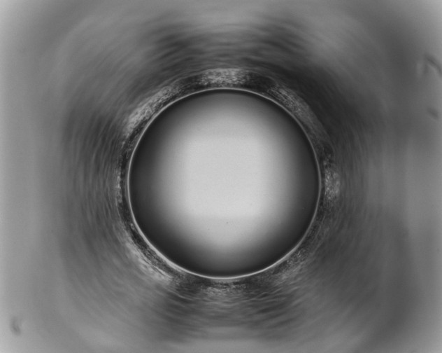 X0000102270725200808011427