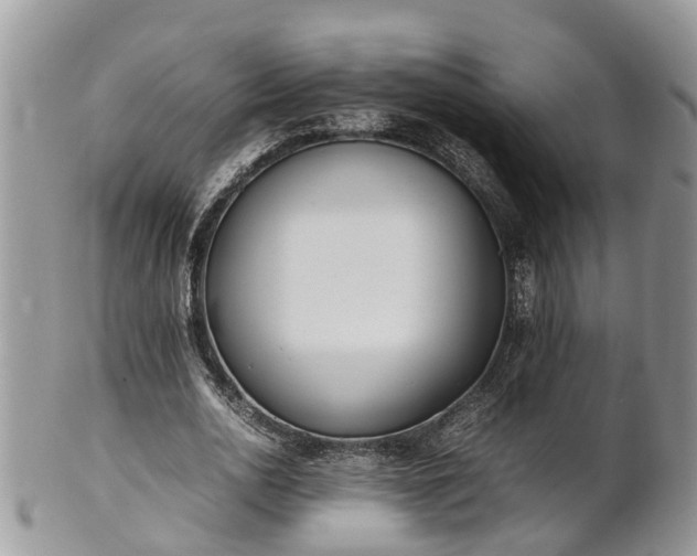 X0000102270726200808011427