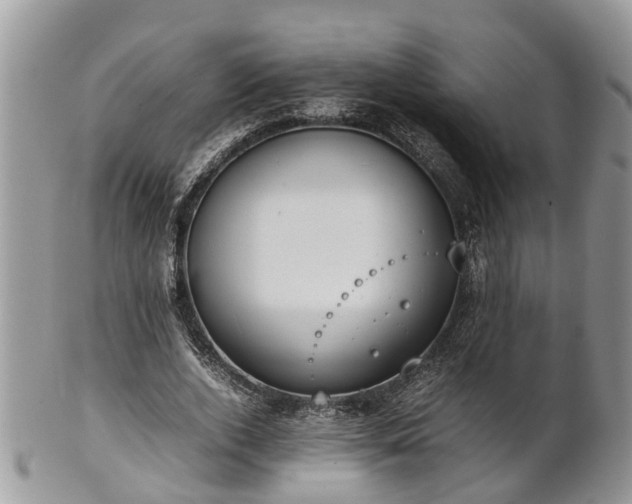 X0000102270728200808011427