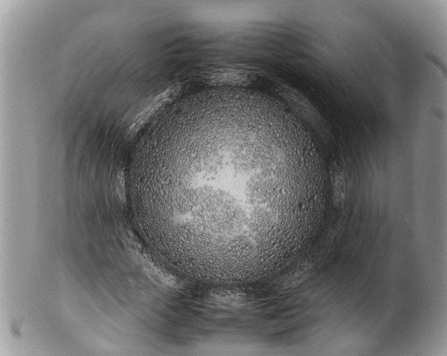 X0000102270729200808011427