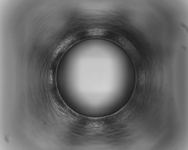 X0000102270731200808011427