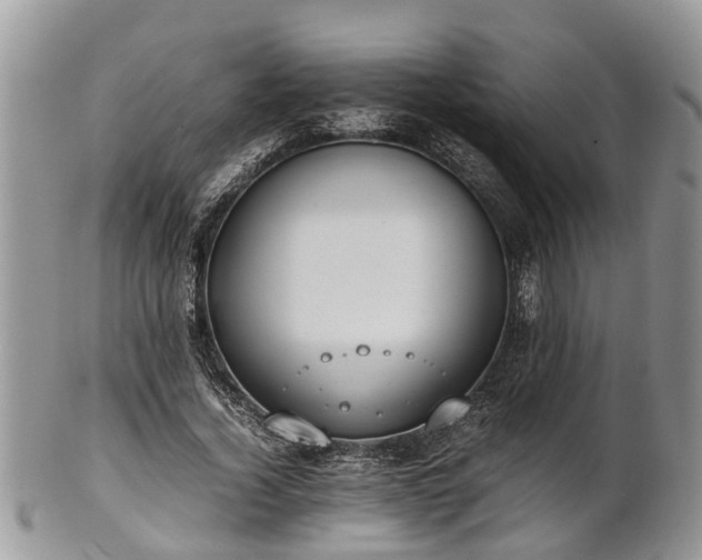 X0000102270732200808011427