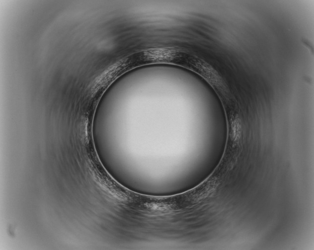 X0000102270733200808011427