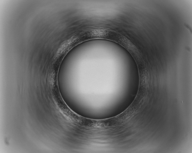 X0000102270736200808011427