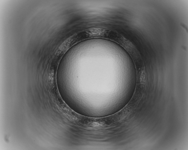 X0000102270737200808011427