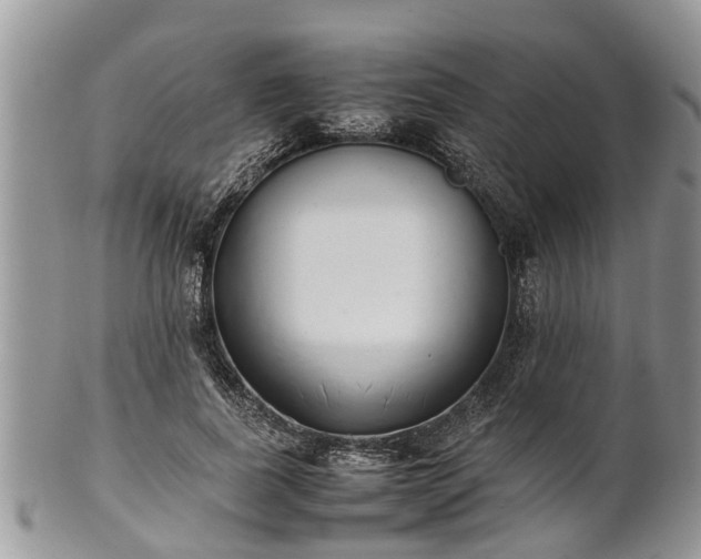 X0000102270739200808011427