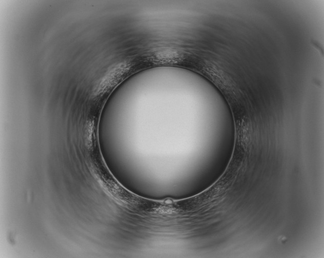 X0000102270742200808011427