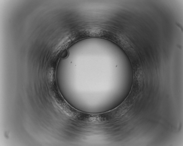 X0000102270744200808011427