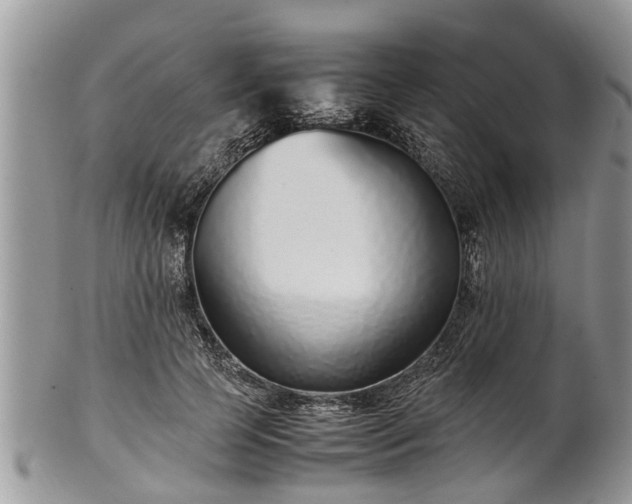 X0000102270745200808011427