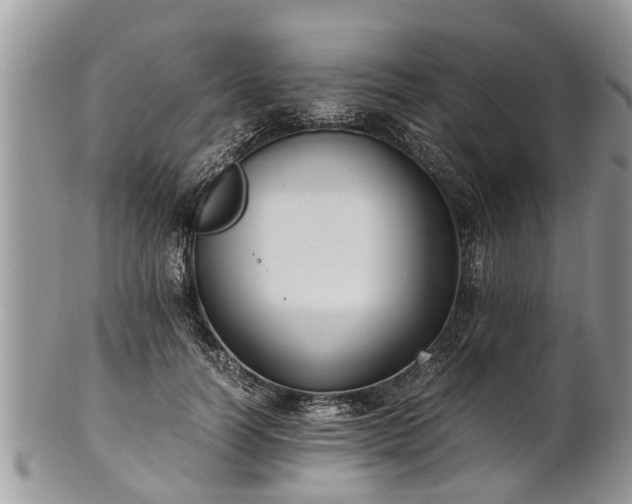 X0000102270746200808011427