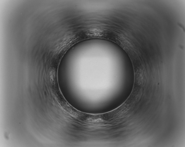 X0000102270747200808011427