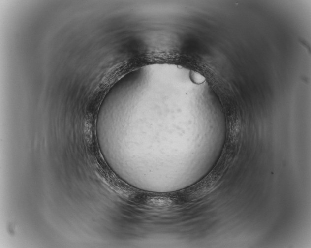 X0000102270749200808011427