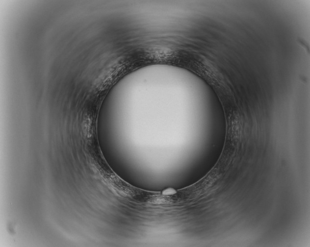 X0000102270750200808011427