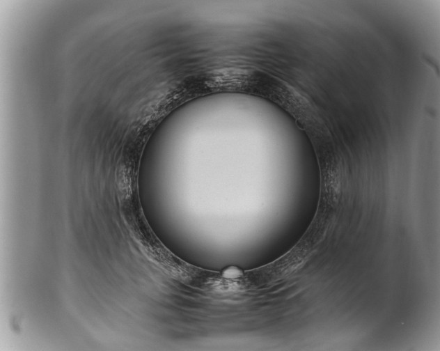 X0000102270751200808011427