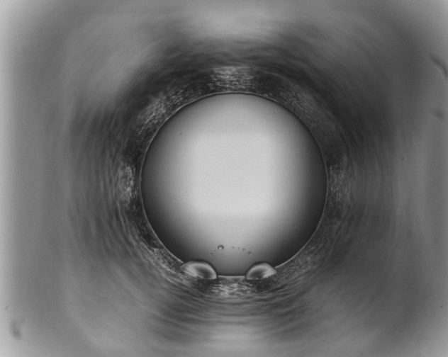 X0000102270752200808011427