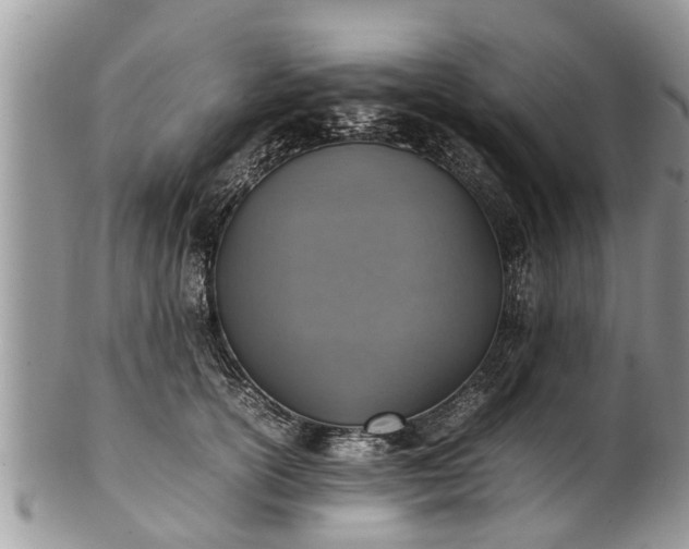 X0000102270754200808011427