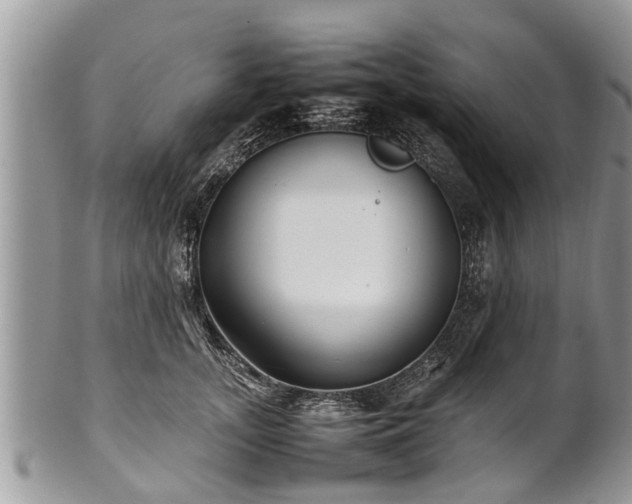 X0000102270755200808011427