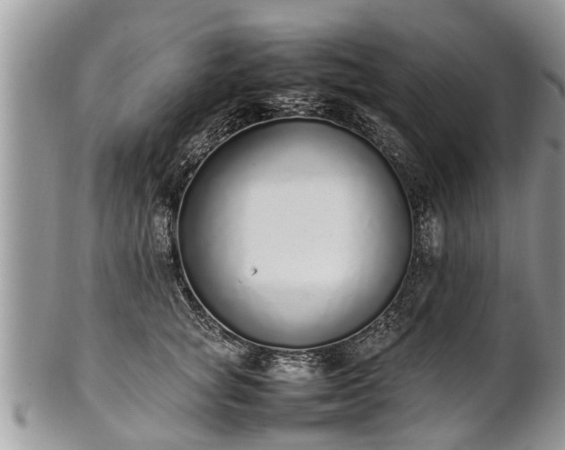 X0000102270757200808011427