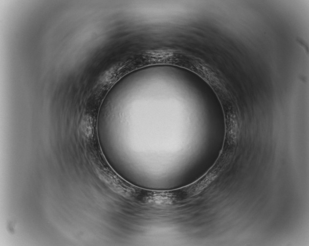 X0000102270758200808011427