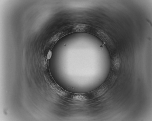 X0000102270759200808011427