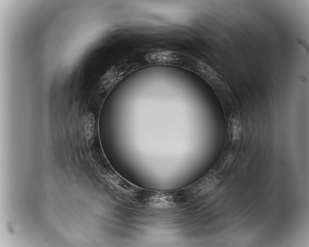 X0000102270760200808011427