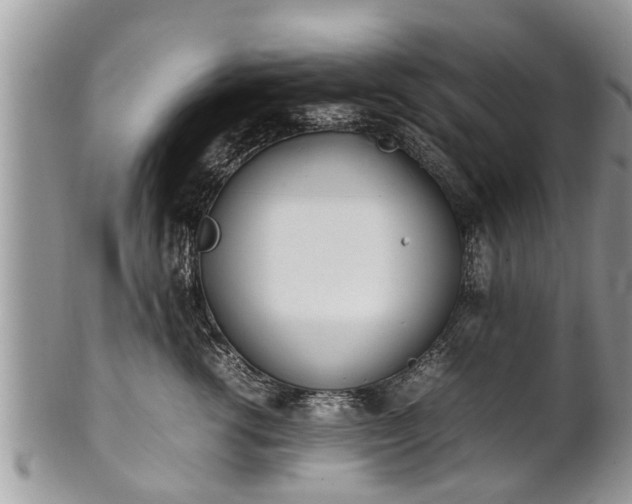X0000102270762200808011427