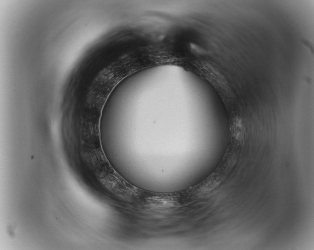 X0000102270763200808011427