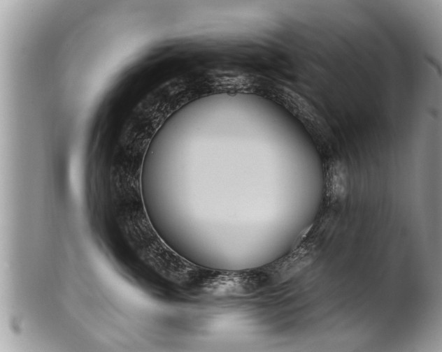 X0000102270764200808011427