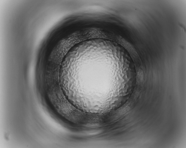 X0000102270765200808011427