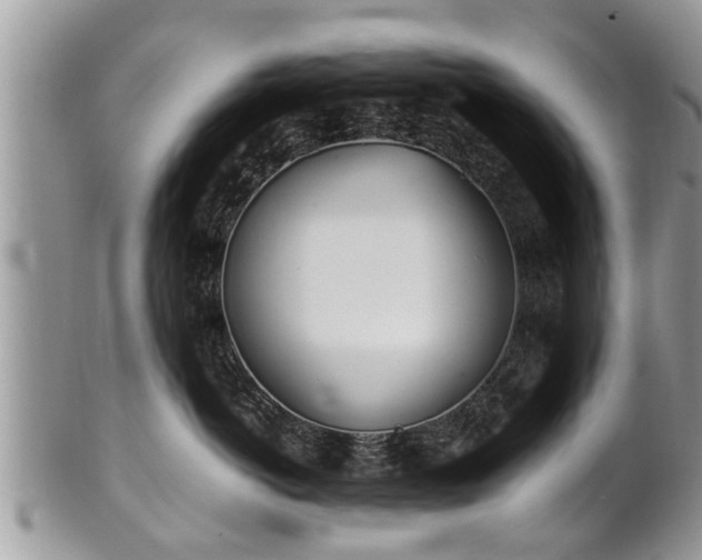 X0000102270766200808011427