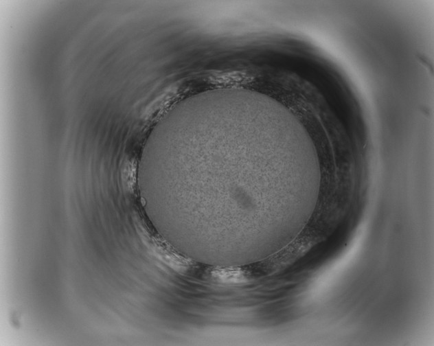 X0000102270767200808011427