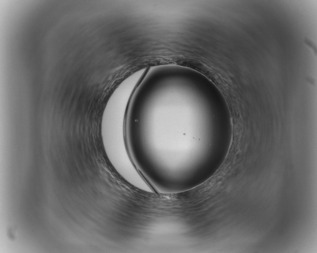 X0000102270768200808011427