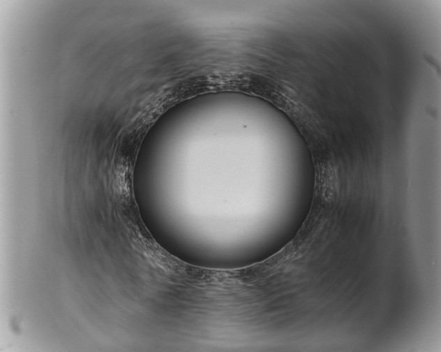X0000102270770200808011426