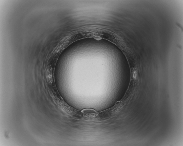 X0000102270771200808011426