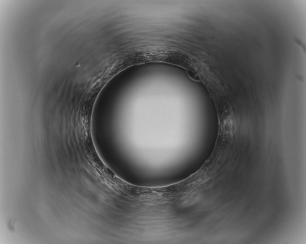X0000102270772200808011426
