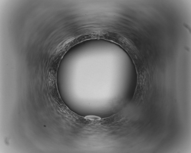 X0000102270773200808011426