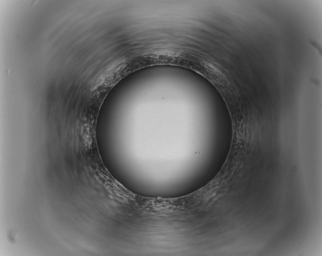 X0000102270774200808011426