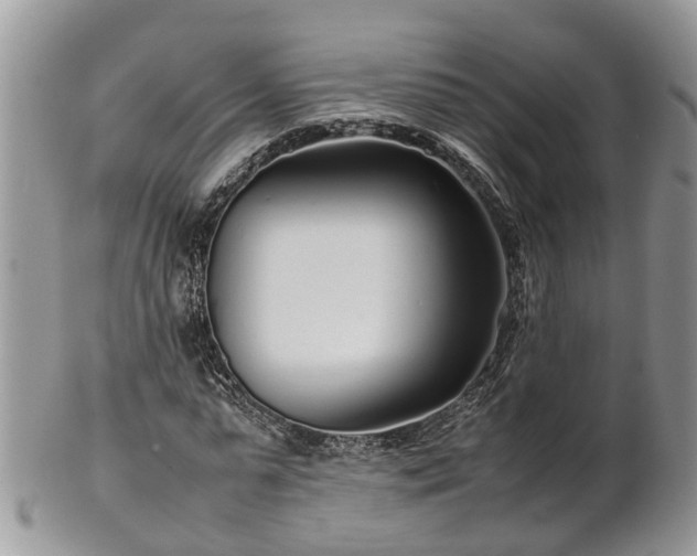X0000102270775200808011426