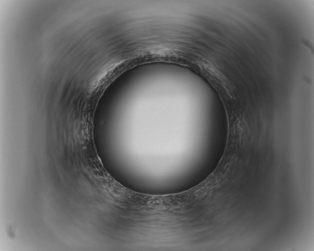 X0000102270776200808011426
