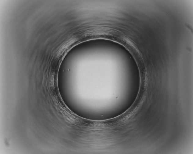 X0000102270777200808011426