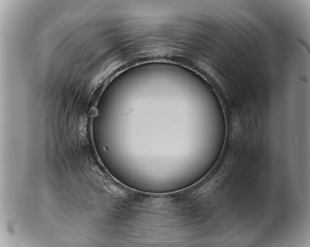 X0000102270778200808011426