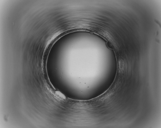 X0000102270780200808011426