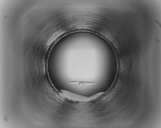 X0000102270782200808011426