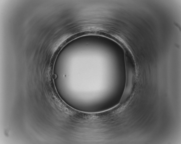 X0000102270783200808011426