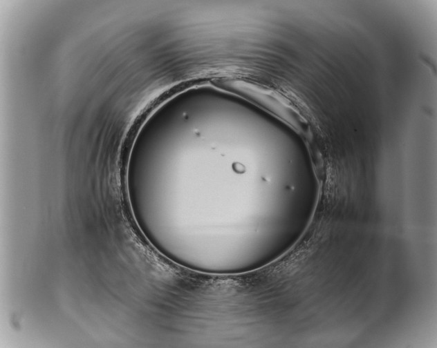 X0000102270784200808011426