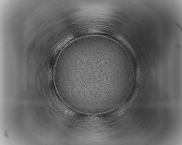X0000102270785200808011426