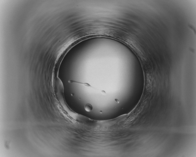X0000102270788200808011426