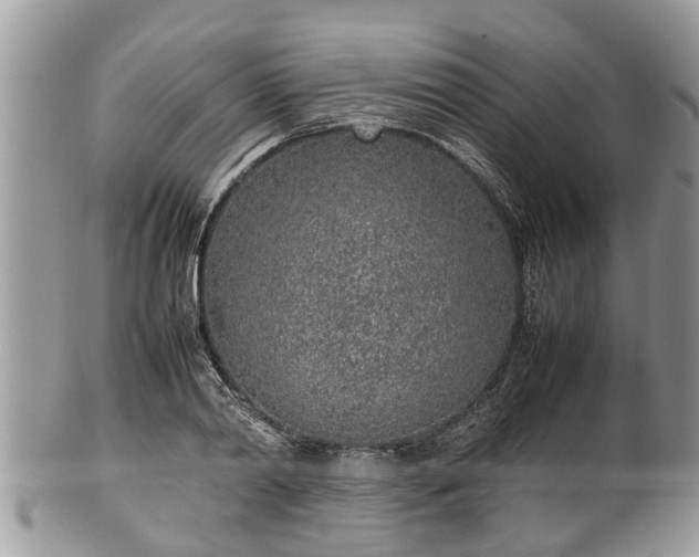 X0000102270790200808011426