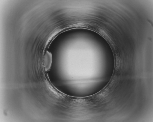 X0000102270800200808011426